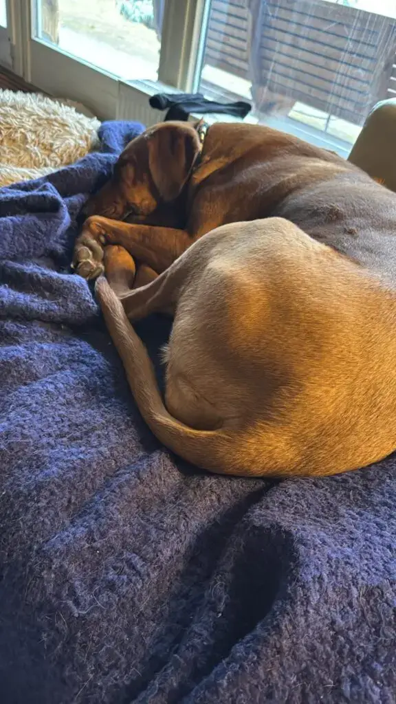 Das aktuelle Bild hat keinen Alternativtext. Der Dateiname ist: WhatsApp-Image-2026-02-08-at-11.44.49.webp